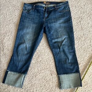 Kut from the Kloth Blue Ankle Cropped Jeans